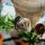 Read more about Zero Waste Roots