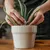 Read more about Houseplant Therapy