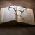 Read more about Novel Notes
