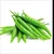 Read more about Green chili