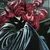 Read more about BatCast