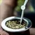 Read more about The Argentinian mate