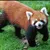Read more about Animals