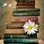 Read more about Short stories