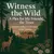 Read more about Witness the Wild: A Plea for My Friends, the Trees