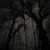 Read more about The Hollowing
