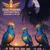 Read more about Star Phoenix Adventures: Beginning of an Era