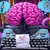 Read more about Sass & Scatterbrain
