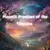 Read more about Moonlit Promises of the Timeless