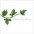 Read more about GreenIvyLeaves