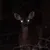 Read more about Fawn of Fawning