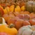 Read more about The Pumpkin Hangout