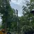 Read more about United Tree Care LLC