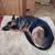 Read more about "Obedience Training: The Male German Shepherd"