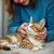 Read more about Ensuring Every Cat Gets the Care They Deserve