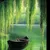 Read more about Willow Whisper