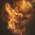 Read more about A Phoenix rising from the shadows