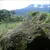 Read more about Highland Maya Archaeology and Ethnohistory