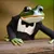 Read more about FrogInATux Main