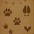 Read more about Unprotected: The Animal Files
