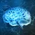 Read more about Being able to Achieving 100% of your brain
