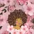 Read more about Poet Archives🌸🖋