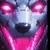 Read more about DevilDog